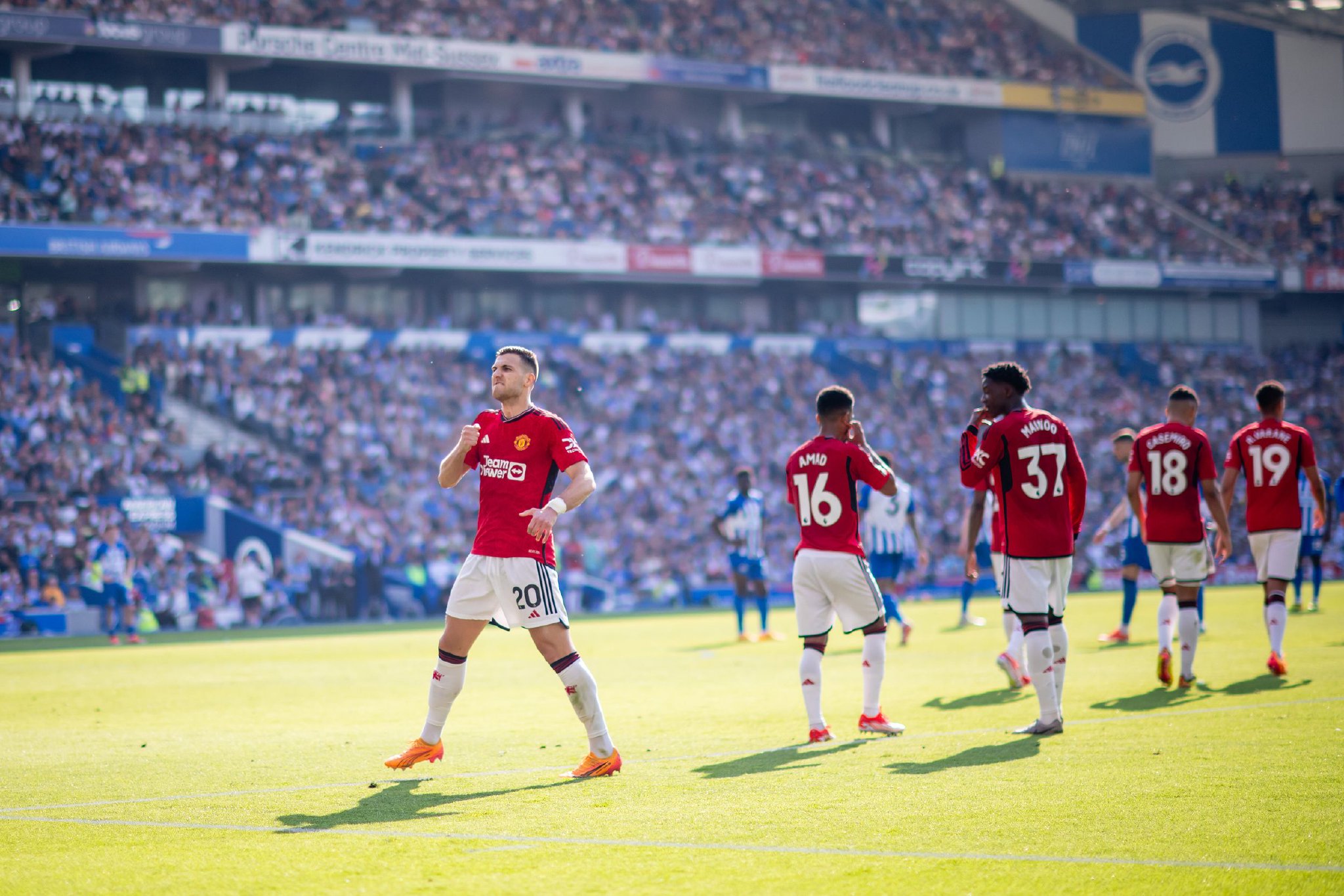 她用不懈的 她用不懈的