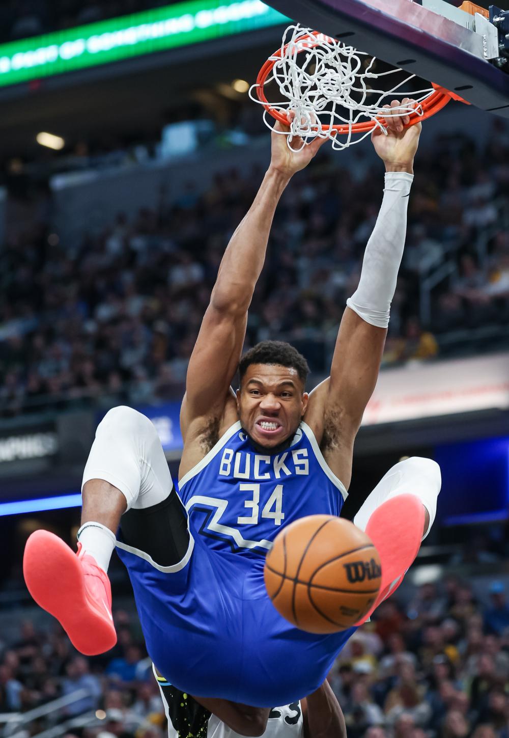 平等原则 平等原则